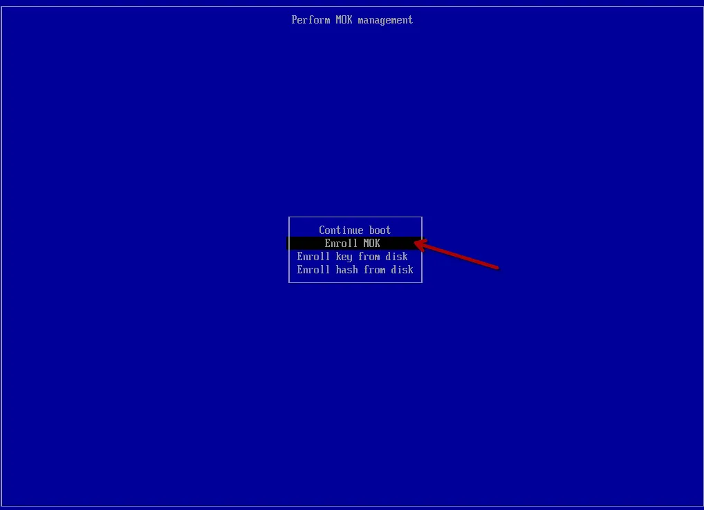 MOK management menu with Enroll MOK selected
